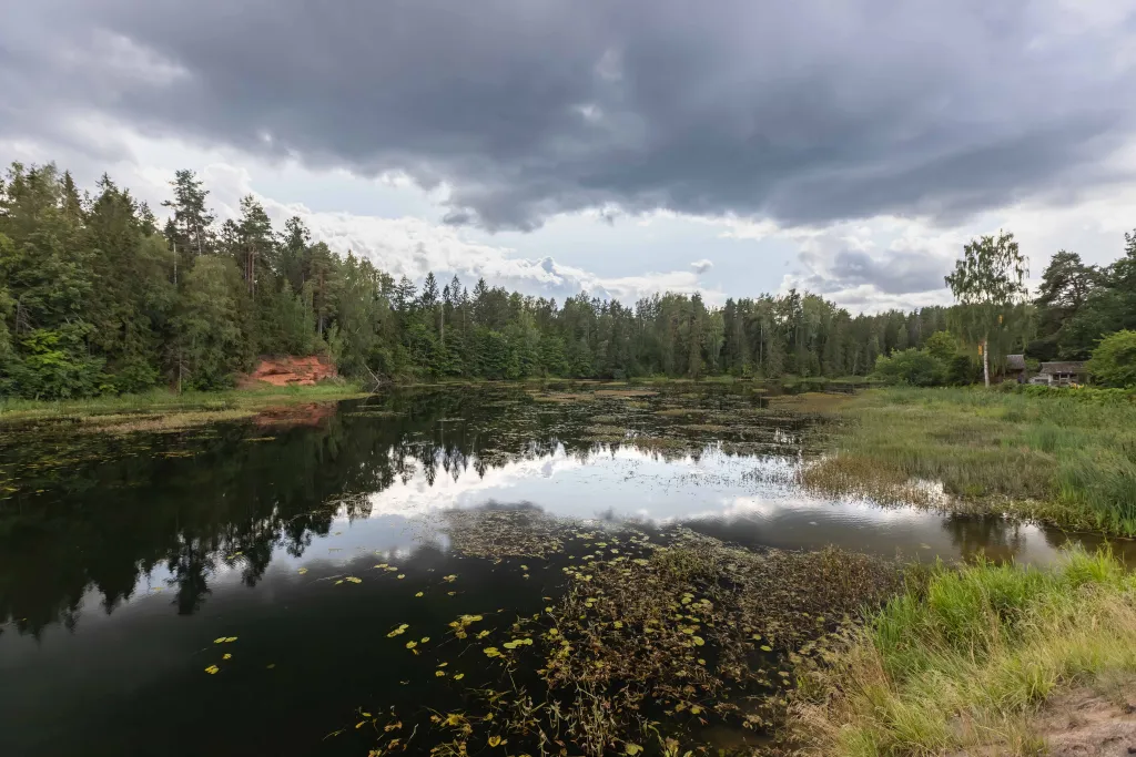 Коттедж 4-комнатный Дом — Санкт-Петербург