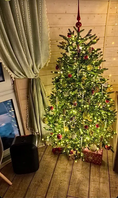 Уникальный купольный дом среди хвойного леса