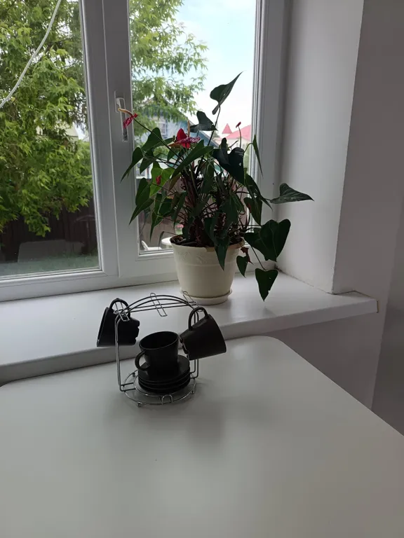 Часть жилого дома с отдельным собственным двориком