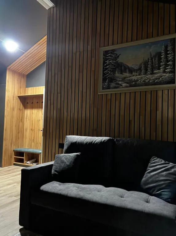 БарнХауз с индивидуальной купелью