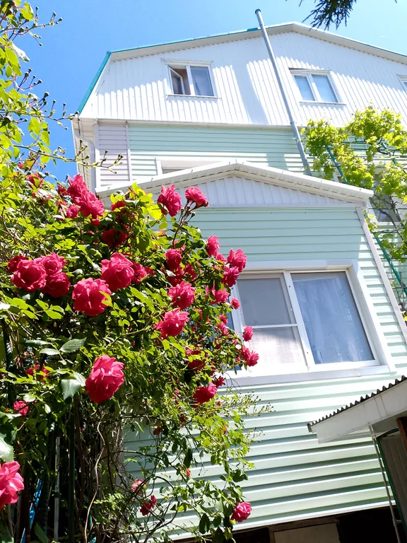 Квартира Уютная комната в голубой бухте — Геленджик