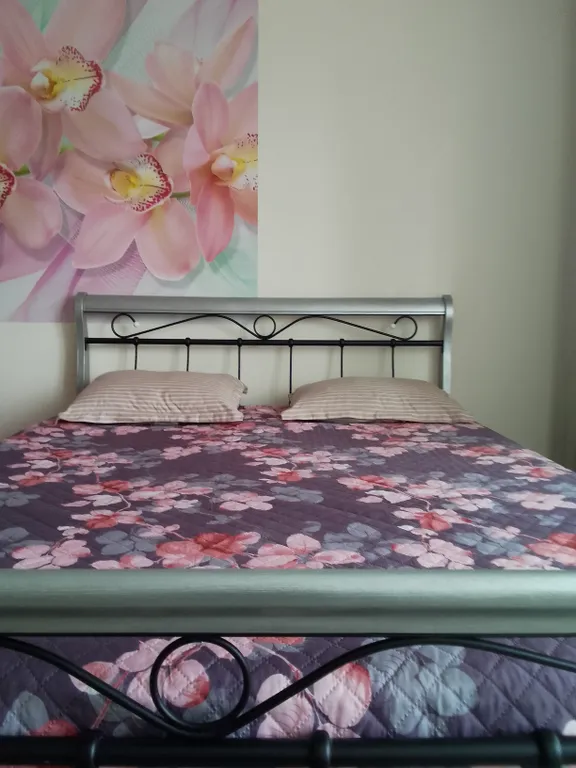 Квартира Уютная квартира — Калининград