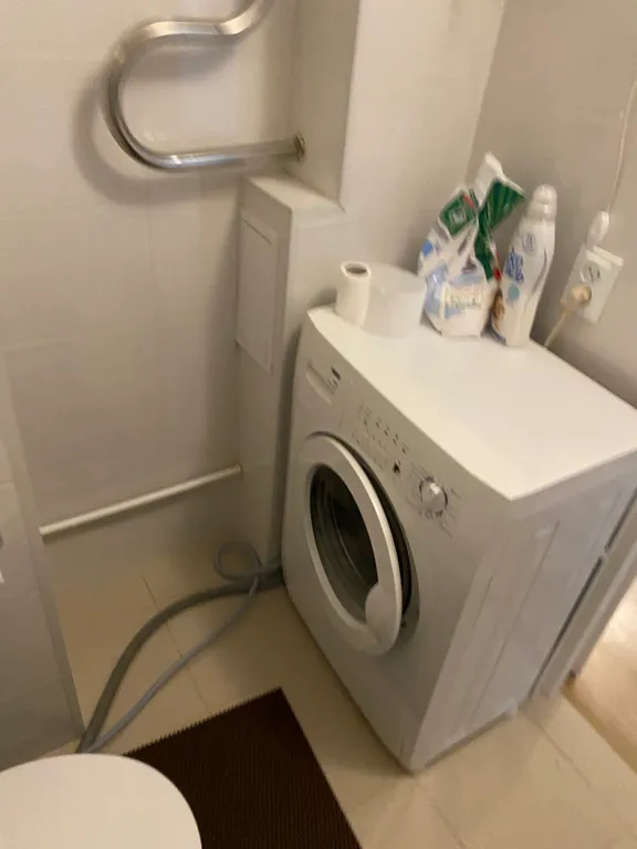 В лесной тиши