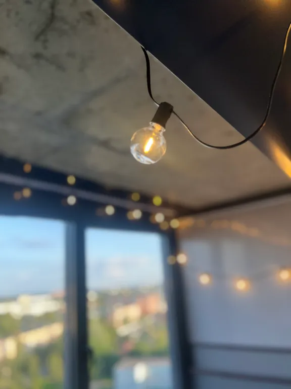 Студия с видом на Лавру