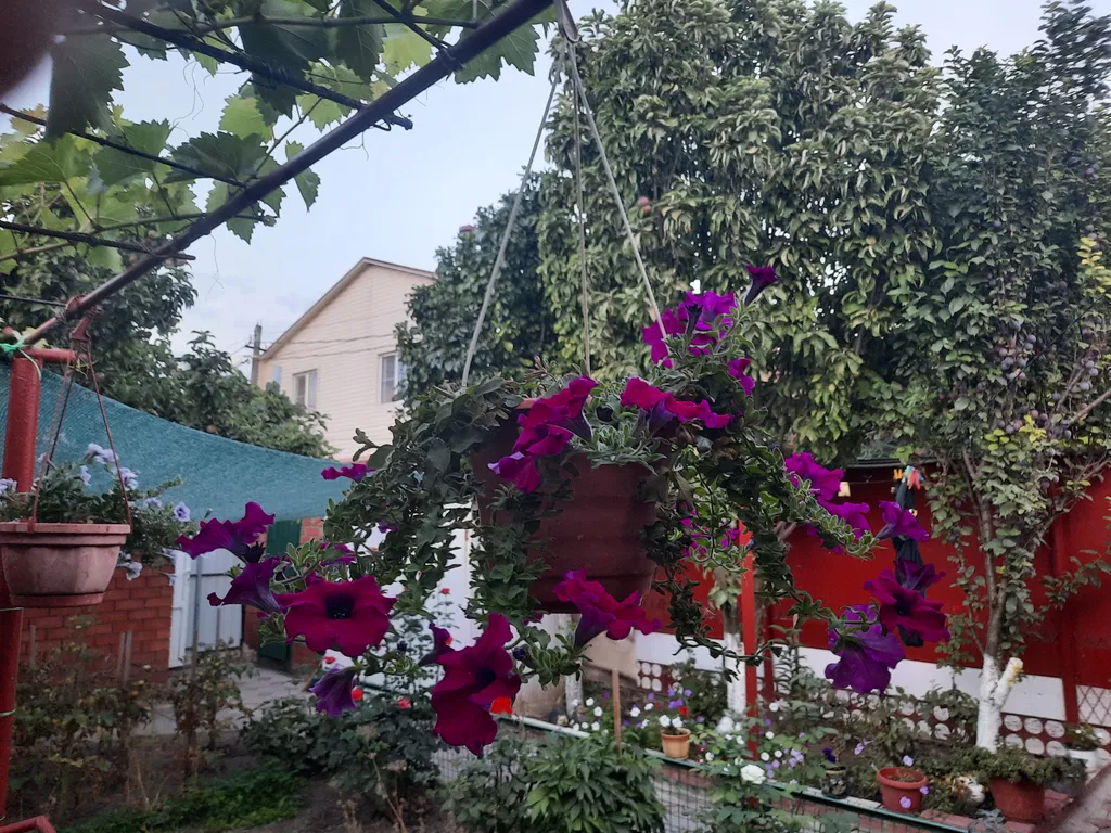 Квартира Уютный домик на Шмидта — аренда посуточно в Ейск