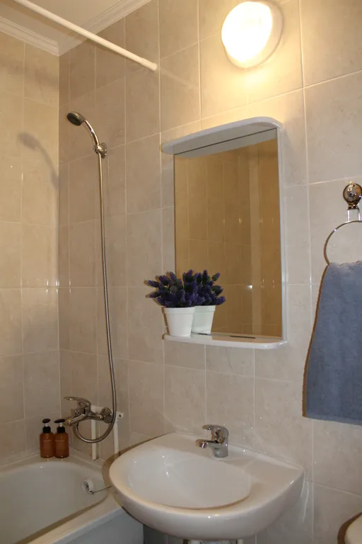 Квартира Просторная квартира — Песочный