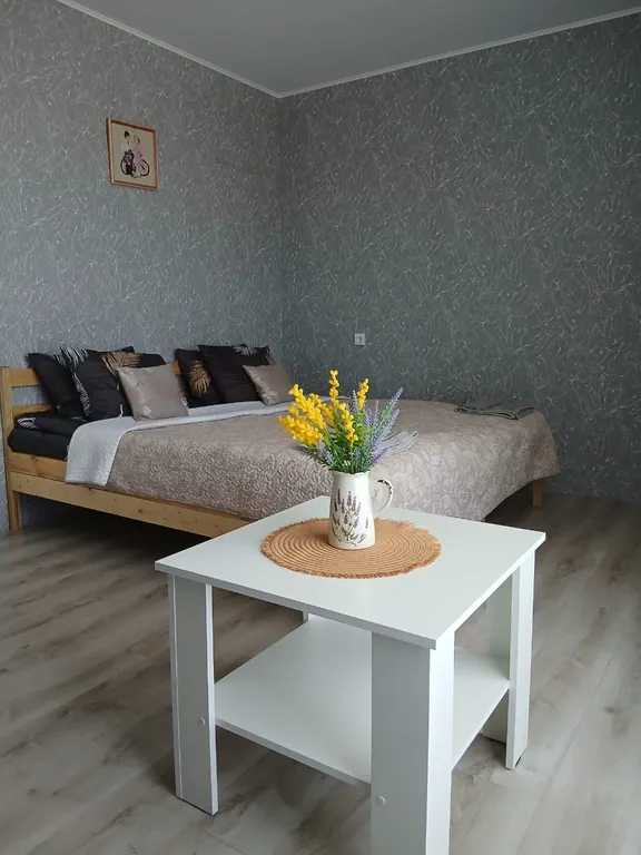 Коттедж 1-комнатный Дом — аренда посуточно в Мышкин