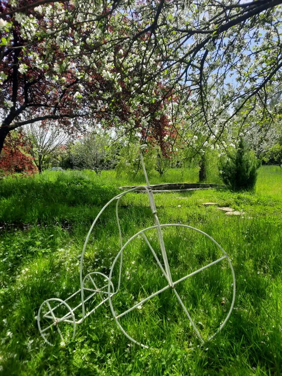 Вилла с парком под ключ