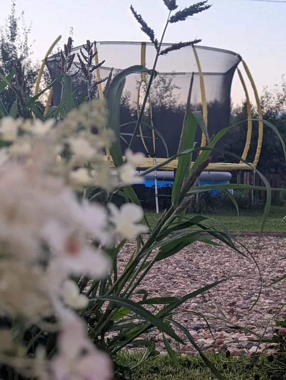 Скандинавская деревня 20 минут от центра