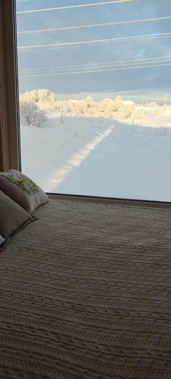 Коттедж Домик около Красного села с видом на поле и лошадок — Санкт-Петербург