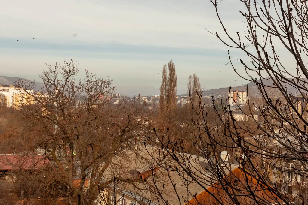 Квартира с видом на город