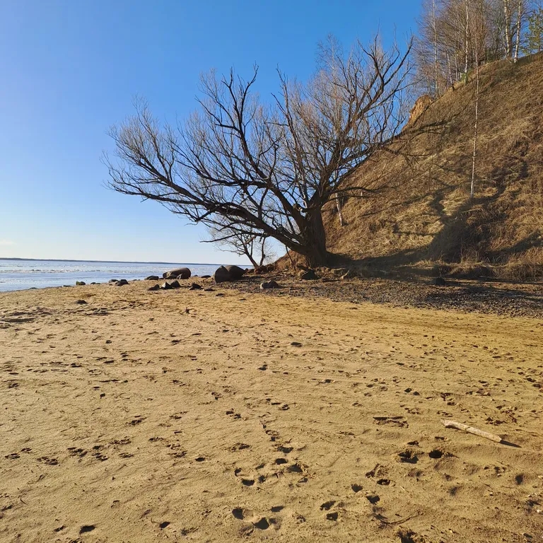 Уютный дом с баней