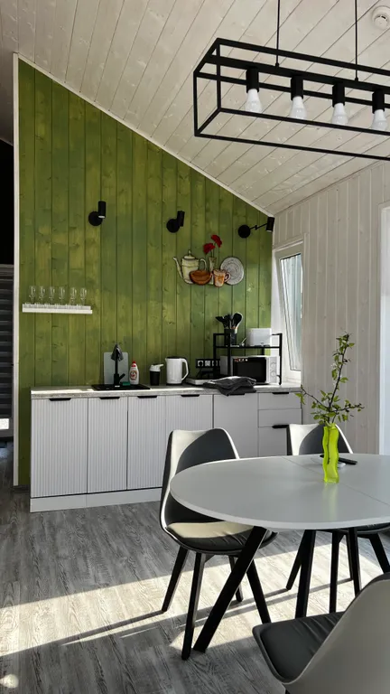 БарнХаус с купелью у озера