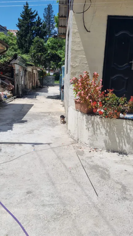 Коттедж 3-комнатный Дом — Сухум