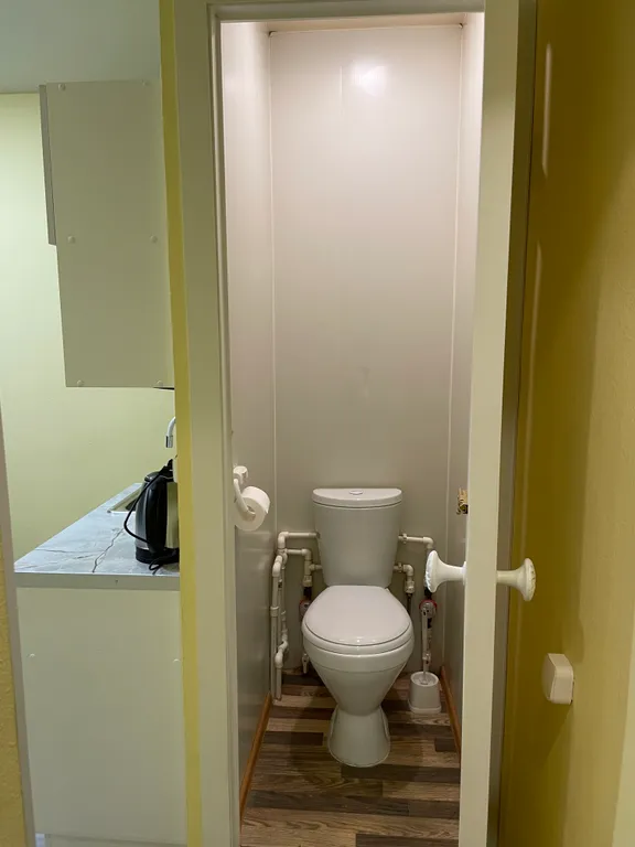 В гостях у гуся