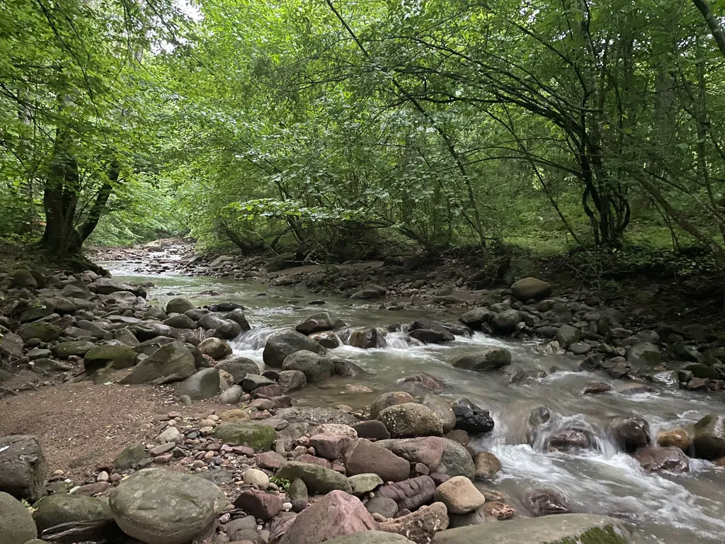 Сказочный домик в сердце леса