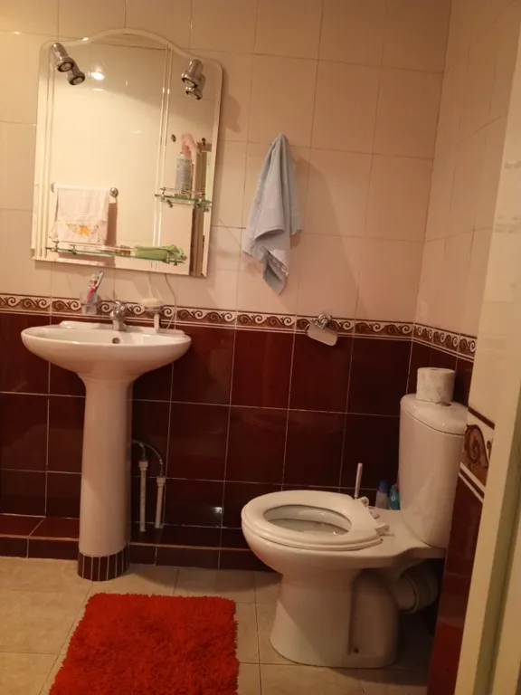 Отдельный большой дом в курортной зоне, с беседкой и мангалом.