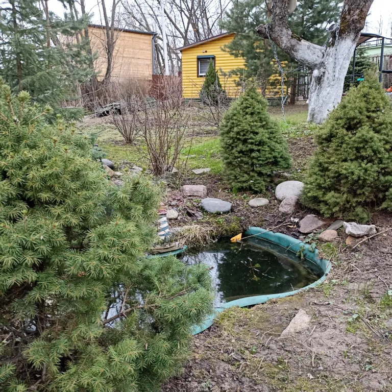 Коттедж Коттедж Курортное шале в писательском Переделкино — Москва