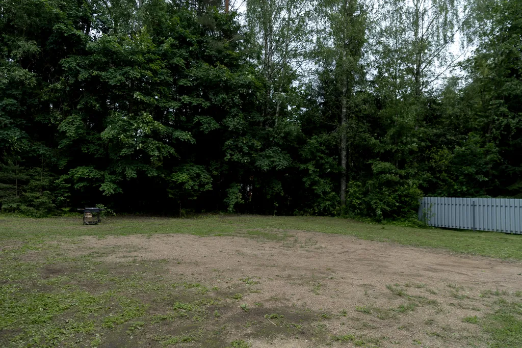 Современный дом в лесу