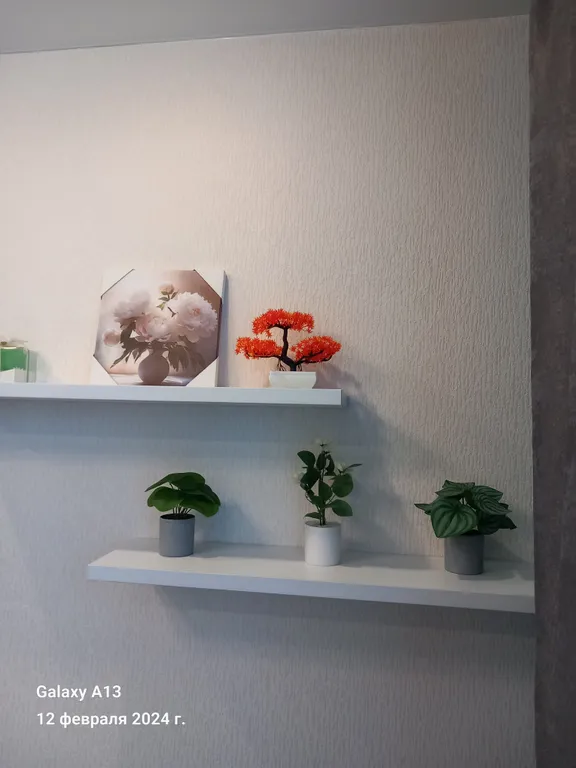 Уютная квартира в Солнечном