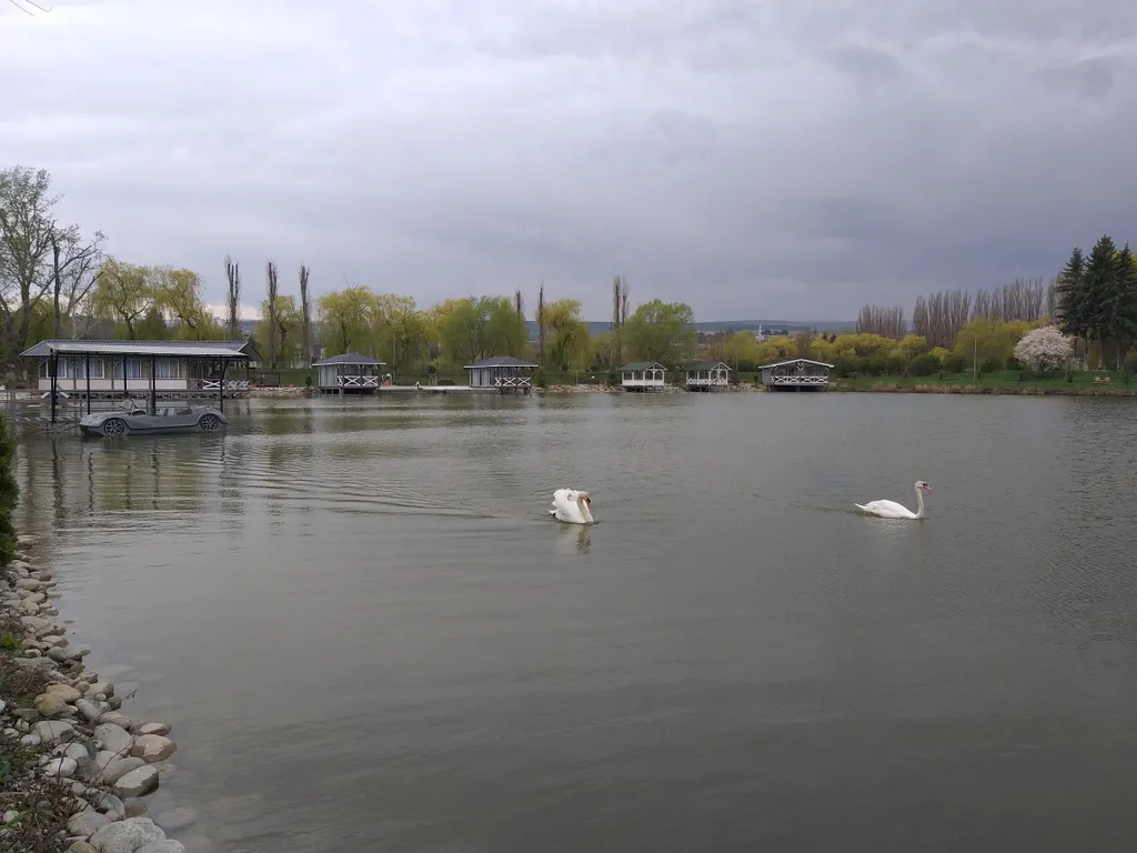 Можжевельник