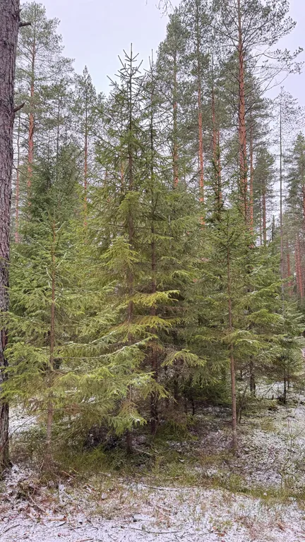 Коттедж Эко-дом у озера: отдых вдали от суеты — Лебяжье