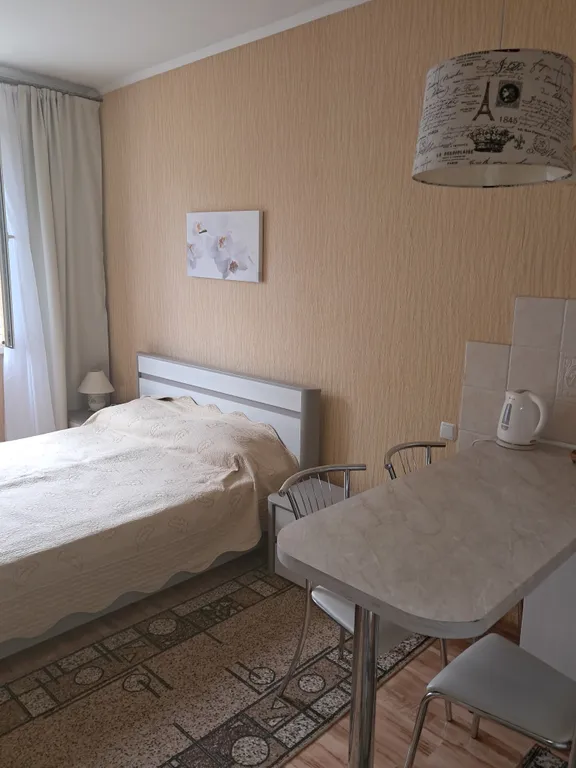 Уютный студия в центре