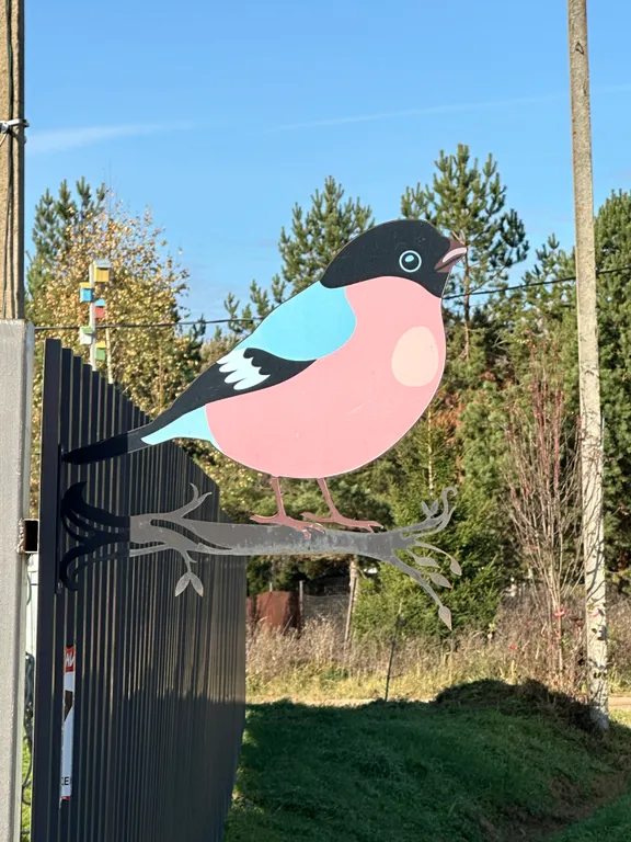 Дом Снегирь