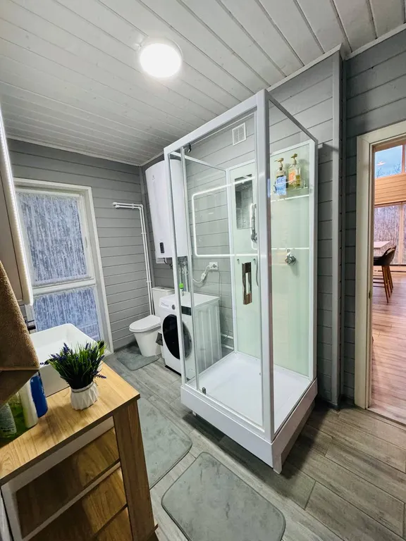 Семейный дом с баней в березовой роще