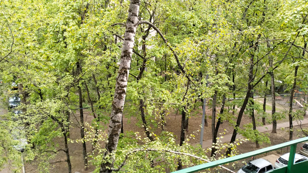 Уютная однушка рядом с Шереметьево