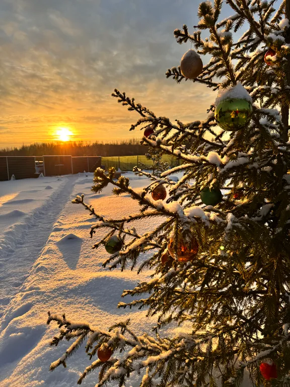 Уютный домик с банным чаном на территории