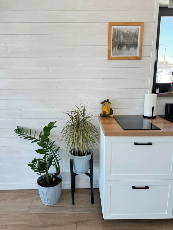 Скандик дом в Хохловке