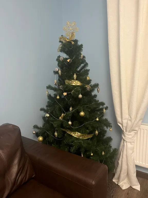 Чистая и уютная квартира для семейного проживания в центре города