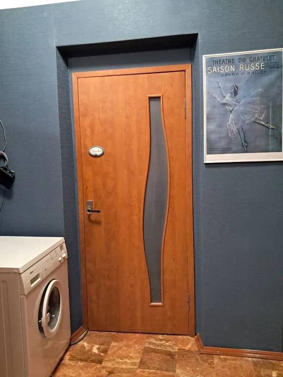 Петербургская квартира в центре города