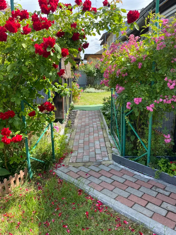 Квартира в домике