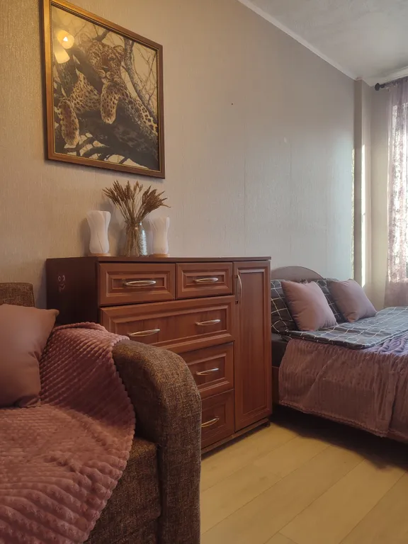 Большая светлая квартира рядом с центром города