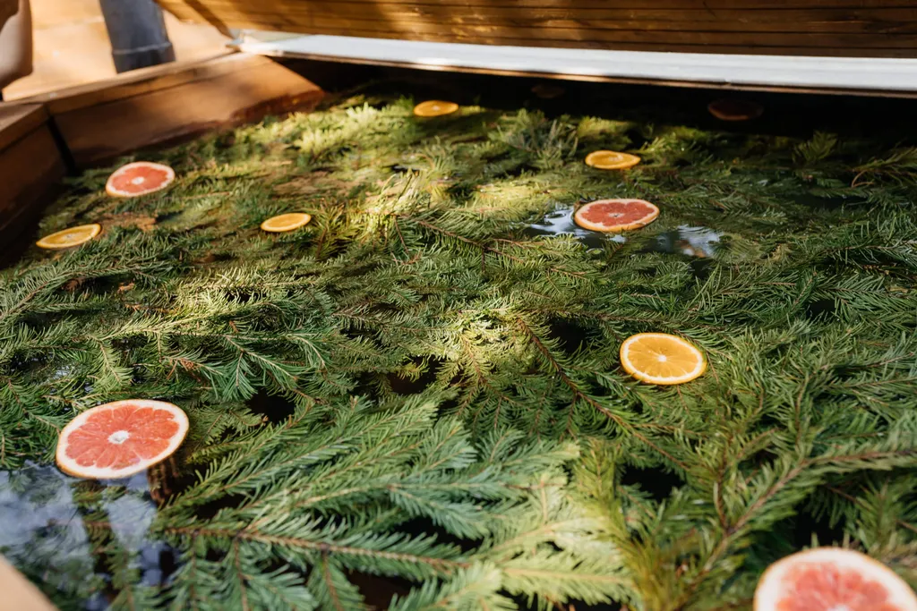 Уютный гестхаус Горки посреди леса и в полном уединении, баня и чан