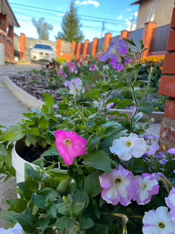 Дом-баня В гостях у Троицы