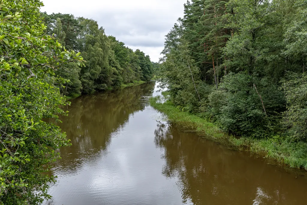 Коттедж Гостевой дом Тень сосны — Санкт-Петербург