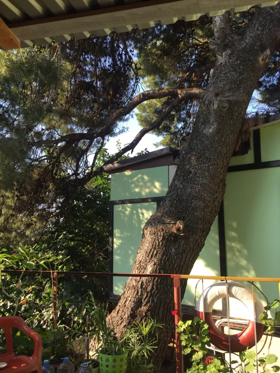 1-комнатная Квартира — аренда посуточно в Алупка