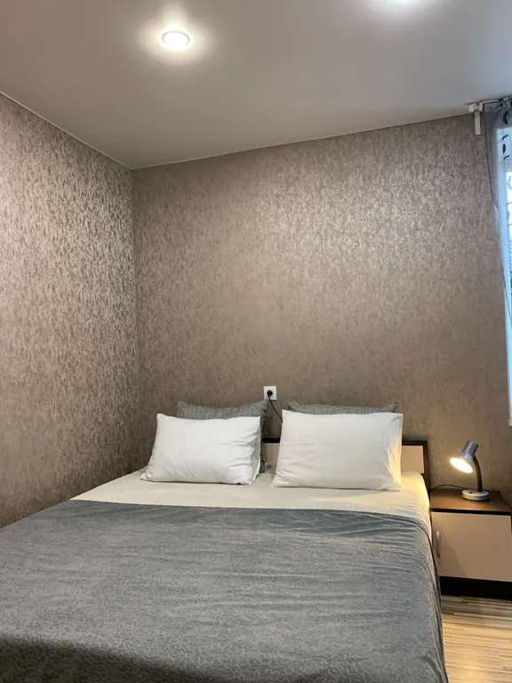 Квартира Уютная квартира рядом с институтом имени Турнера — Пушкин