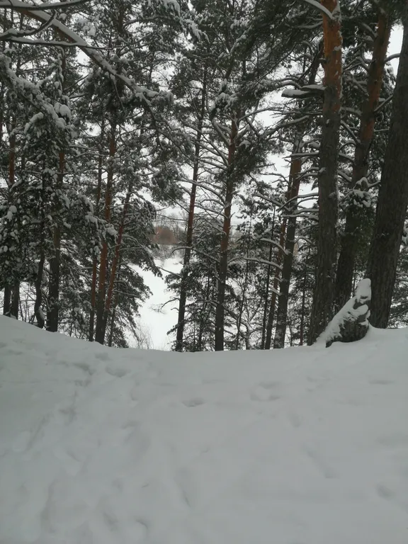 Уютная квартира в лесу рядом с рекой