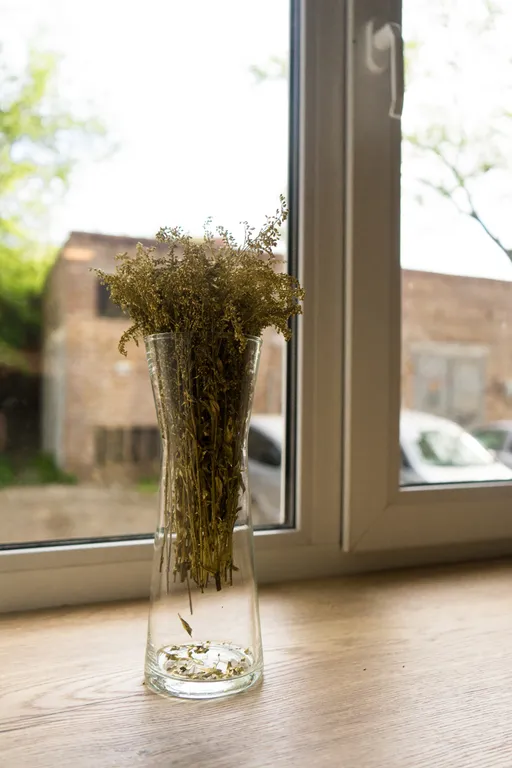 Квартира Апартаменты в самом центре Владивостока — Владивосток