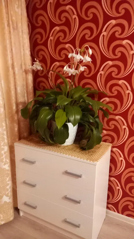 Уютная квартира в центре города с видом на гору Змейка