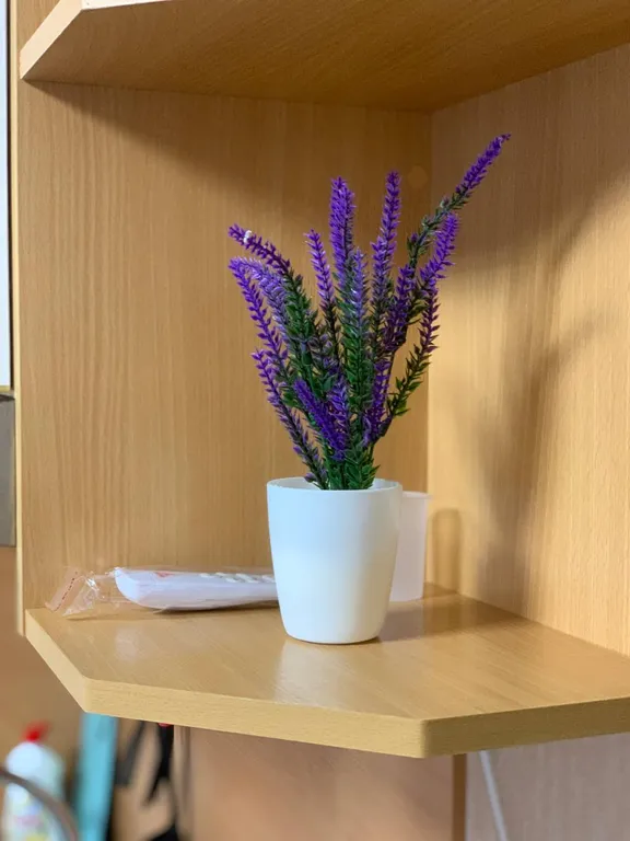 Уютная студия в новом современном доме