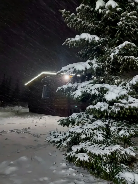 Коттедж Уютный дом Леvnaeли — Шерегеш