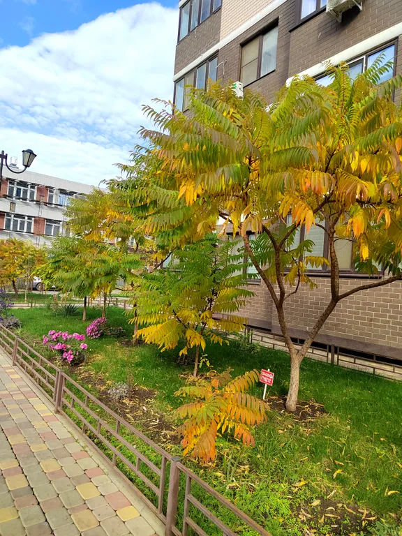 Квартира Квартира Уютная студия — Краснодар