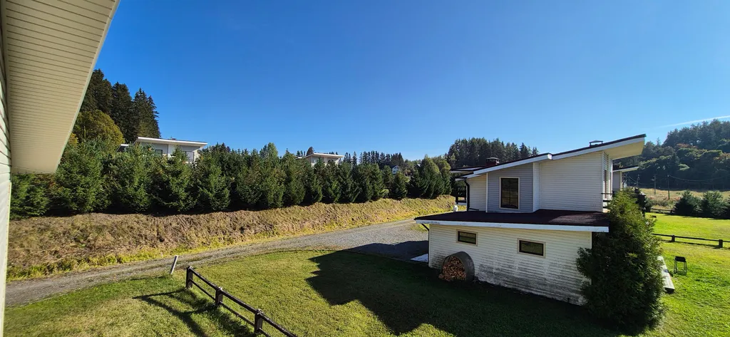 Куркиёки у леса