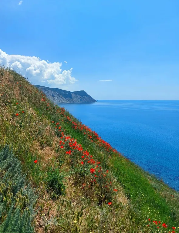 Квартира Квартира Студия у моря — Анапа