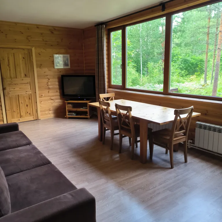 Дом на берегу озера с панорамным видом на лес